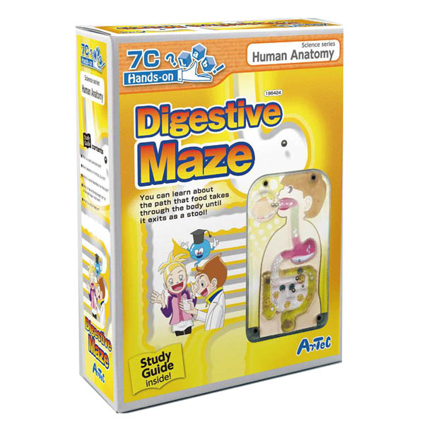 DIGESTIVE MAZE WITH GUIDEBOOK