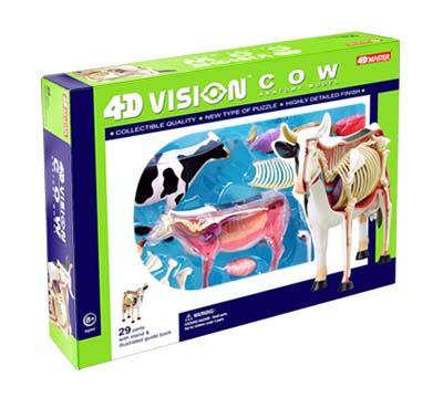 COW ANATOMY MODEL 29PARTS W/STAND & BOOK
