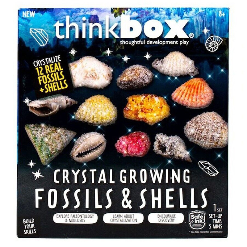 THINKBOX CRYSTAL GROWING FOSSILS SHELLS