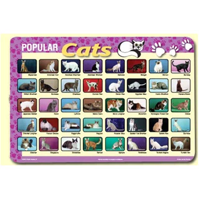 PLACEMAT POPULAR CATS 