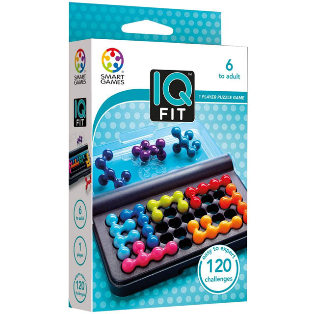 IQ FIT 120 CHALLENGES 1 PLAYER PUZZLE GAME