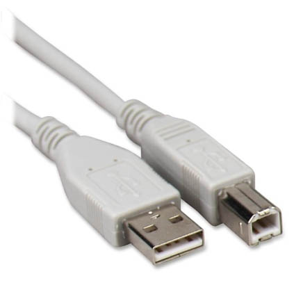USB CABLE A-B MALE/MALE 10FT GRY VERSION 2.0