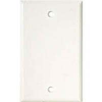 WALL PLATE BLANK WHITE PLASTIC 