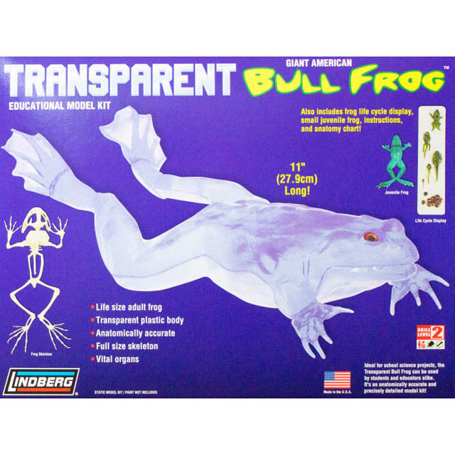 TRANSPARENT BULL FROG MODEL KIT 11IN LONG