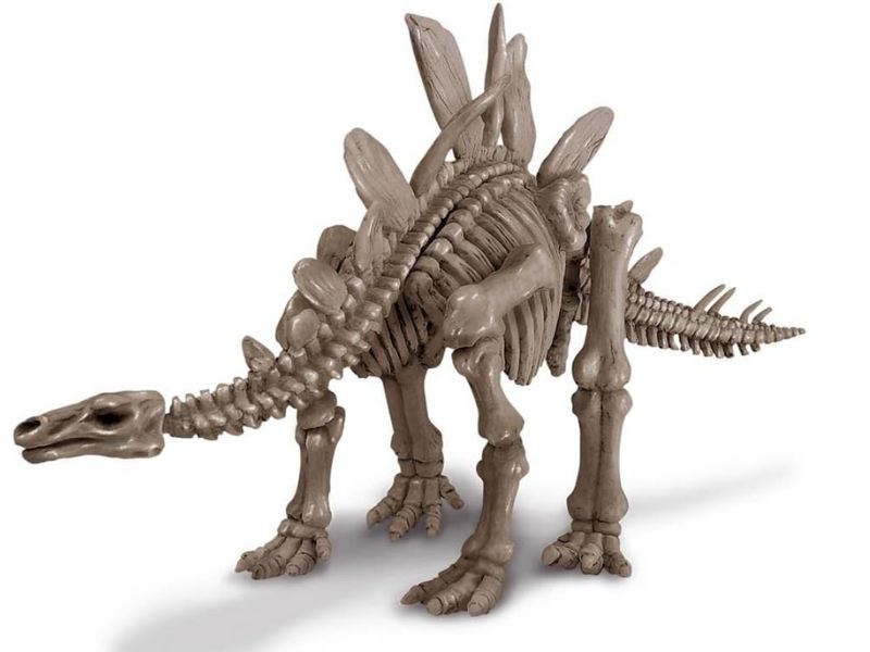 PALEONTOLOGY 3053