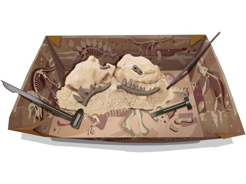 PALEONTOLOGY 3054