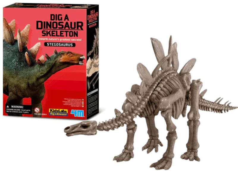 PALEONTOLOGY 3052