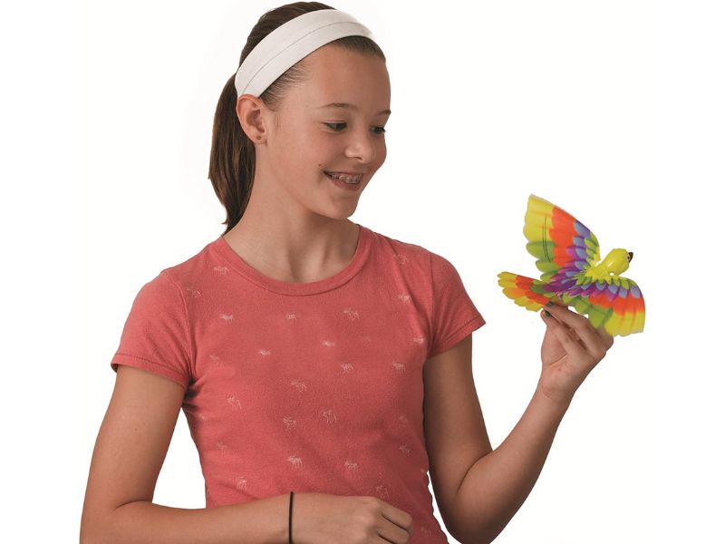 TOYS BIRDS 2536