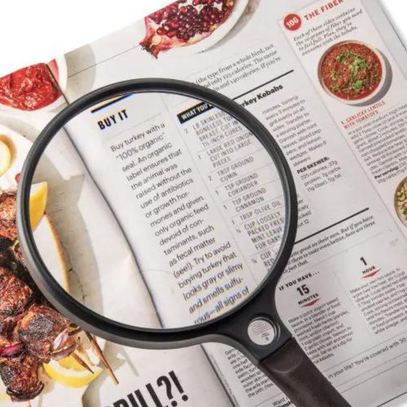 HANDHELD MAGNIFIER 4865