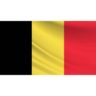 BELGIUM SOUVENIR FLAG 3 X 5 FT 
SKU:265498