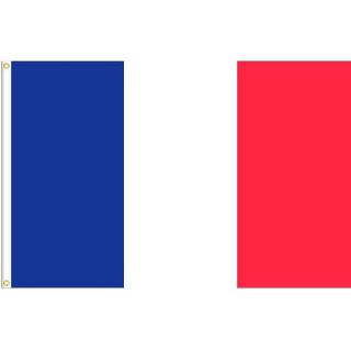 FRANCE SOUVENIR FLAG 3 X 5FT