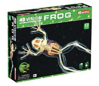 FROG SKELETON MODEL-AGES 8+ 4D-VISION