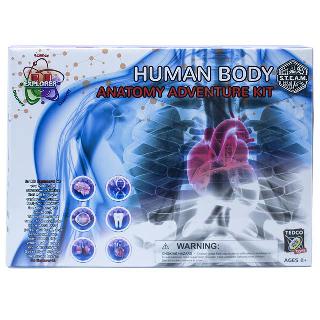 HUMAN BODY ANATOMY ADVENTURE KITSKU:257077