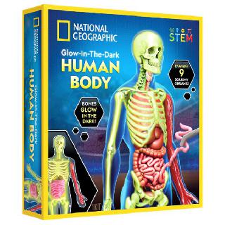 HUMAN ANATOMY MODEL GLOW-IN-DARK NATIONAL GEOGRAPHIC
SKU:269404