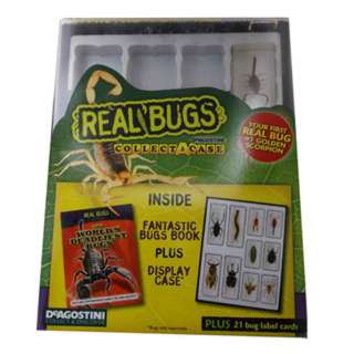 REAL BUGS COLLECT A CASE WITH LABEL CARDS