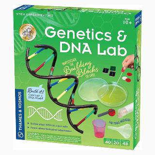 GENETICS & DNA SKU:259852