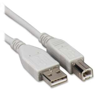 USB CABLE A-B MALE/MALE 10FT GRY SKU:232659