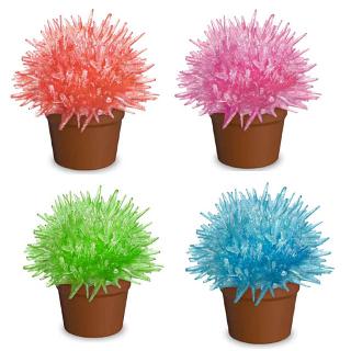 CRYSTAL CACTUS ASSORTED COLORS